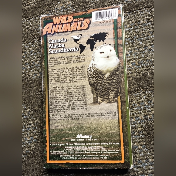 WILD ABOUT ANIMALS VHS TAPES - Picture 4 of 16